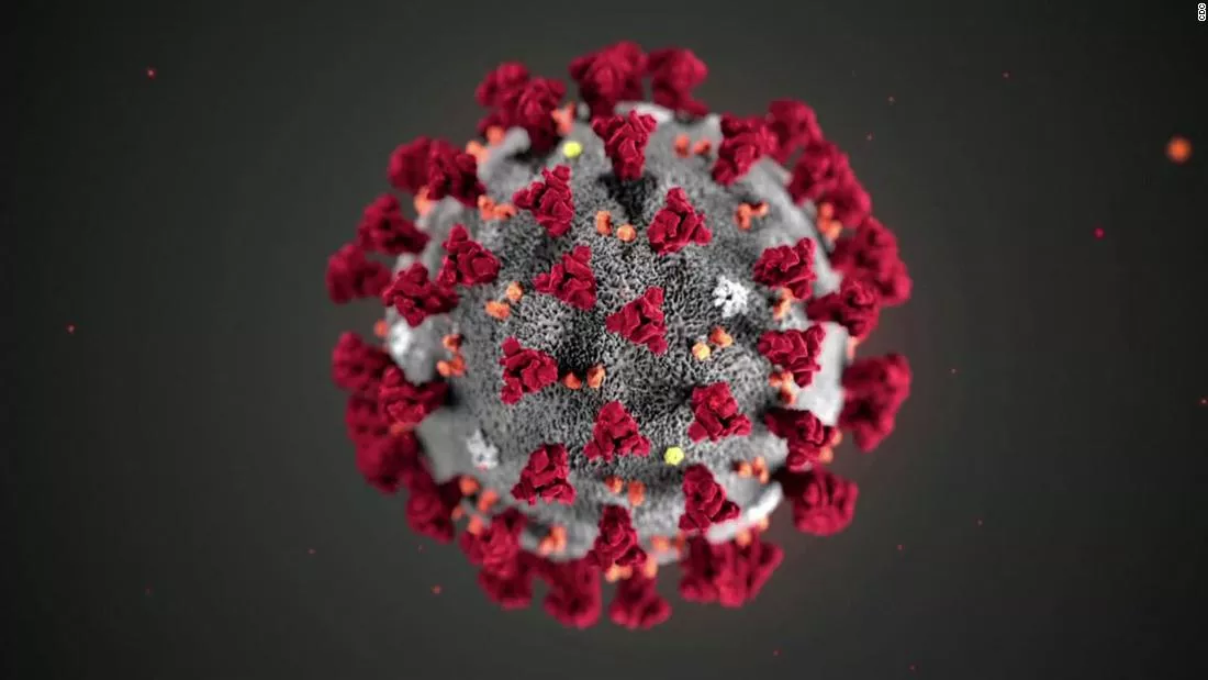 corona virus